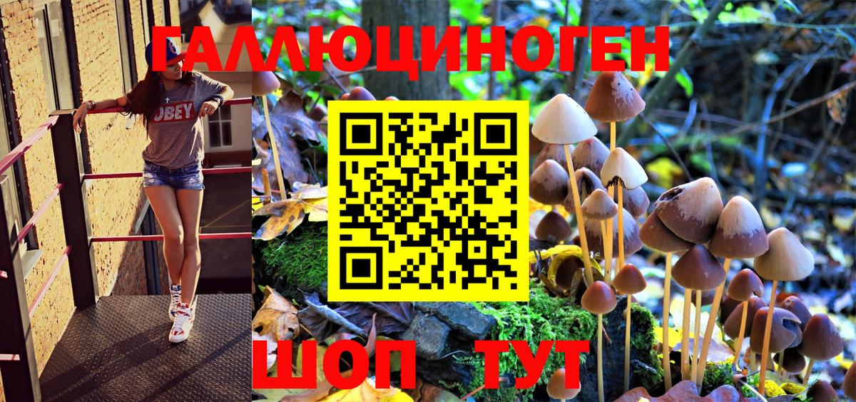Галлюциногенные грибы MAGIC MUSHROOMS  Вход с VPN  Горячий Ключ  закладка  Псилоцибиновые грибы мицелий 